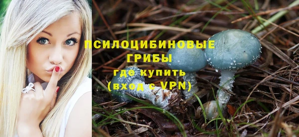 таблы Алзамай