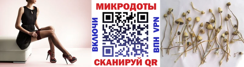 Галлюциногенные грибы MAGIC MUSHROOMS  Купить  Сольвычегодск 